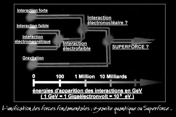 unification des forces
